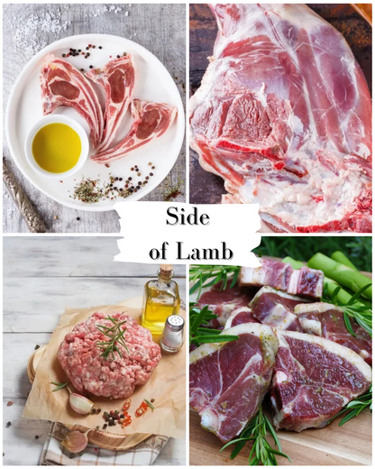 Side of Lamb (14-16 lbs)
