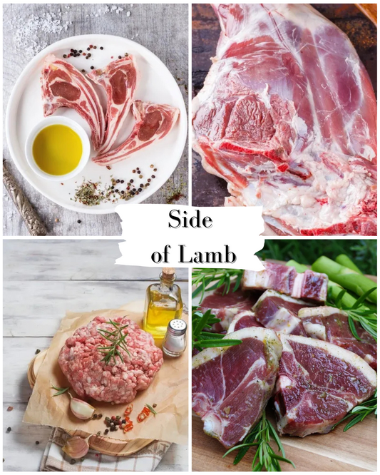 Side of Lamb (14-16 lbs)