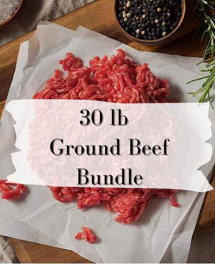 30 lb 90/10 Ground Beef Bundle